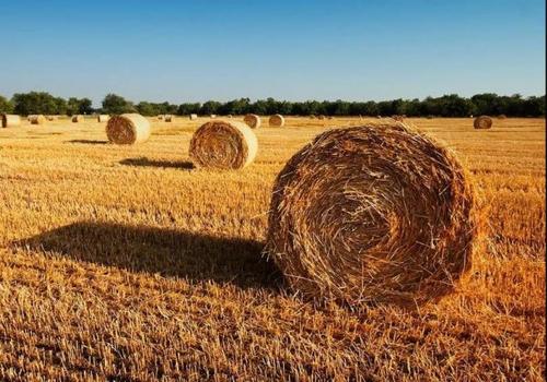 今年山西重点打造9个秸秆综合利用“样板县”