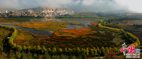 花开正当时 疫情过后在香格里拉遇见繁华似锦