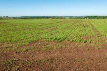 确保不误农时！福建出台扎实抓好春季农业生产二十条措施