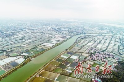 复产战“疫”：一个珠三角村庄的一天