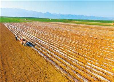 辽宁省近九成农业产业化重点龙头企业开工
