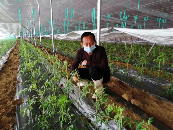 脱贫路上新气象 平度东阁街道“战春”进行时！