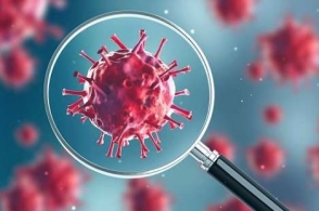 中国疾控中心：目前我国新冠病毒感染处于较低流行水平