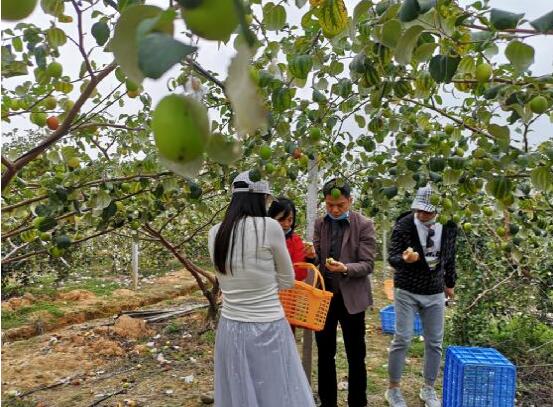 复工战“疫”出钱出力助农扶商，广州知音文旅用行动助力