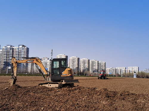 种下一片花海，等待五月盛开