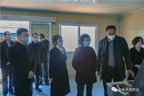 山东·半岛田园综合体：着力打造乡村振兴齐鲁样板，创建乡村振兴“胶州模式” ——青岛市农委办领导调研山东·半岛田园综合体项目