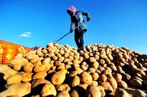 农业农村部：农产品质量安全形势稳中向好 全国监测总体合格率连续五年保持在97%以上