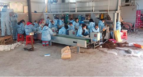 河南省南召县板山坪镇多举措巩固脱贫效果