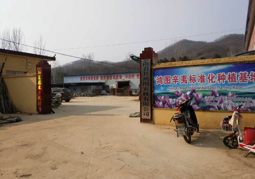 20200309103809147.jpg 1 (1).jpg