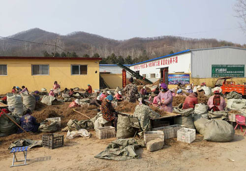 20200309103817940.jpg 2.jpg