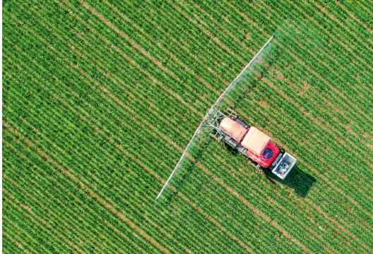 打造乡村振兴齐鲁样板