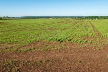 巩固脱贫成果推进乡村振兴 山西太原采取“四大措施”推进春季行动