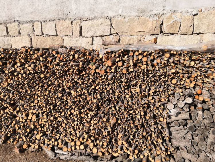 蒙阴野店镇：一家一户门前的别样”风景线”