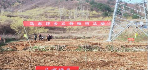 河南省南召县马市坪乡“主题党日”义务植树活动 为扶贫产业添新绿