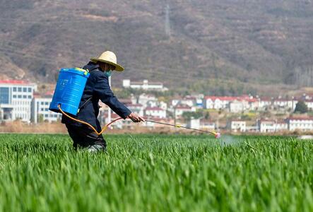 春耕备播进展顺利 夏季粮油丰收有基础