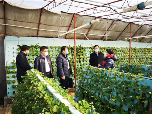 “四进”攻坚 “疫”往无前 省派青农大工作组奏出服务“交响曲”