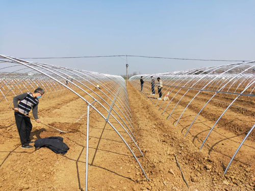 20200320145542538.jpg 2.jpg