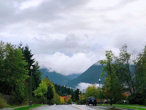 临沂人海外战疫丨温哥华餐饮从业者谢地：一年春好处，樱花寂寞开