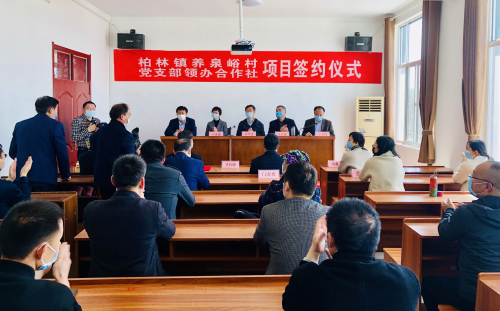 创新！农村党支部领办合作社项目落户蒙山小村庄
