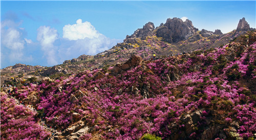 青岛西海岸新区19个景区陆续开放