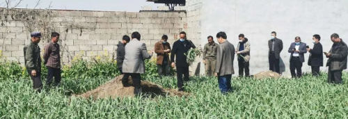 兰陵县芦柞镇“齐、抓、共、管”整治散葬坟墓