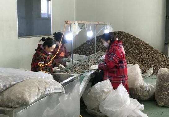 20200326133840672.jpg 20200326133840672.jpg