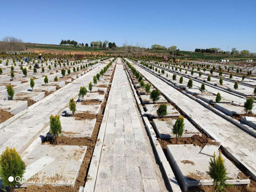 兰陵镇黄庄村三天迁走19个散葬坟头