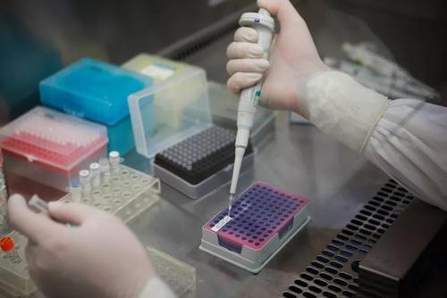 中国试剂盒出海：全球疫情大流行催生需求爆发 运输成最大阻碍