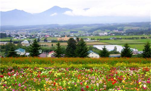 特色产业扶贫 山西今年要做这些事