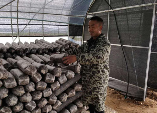 河南省南召县贫困户张振坡就业记