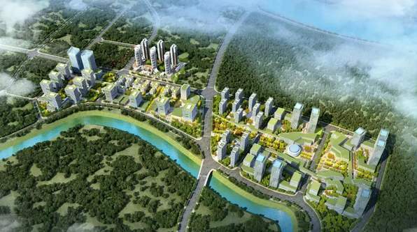 东莞建设高质量森林城市打造“品质东莞”