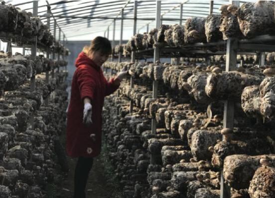 河南省南召县乔端镇：扶贫车间复工忙 脱贫致富有保障