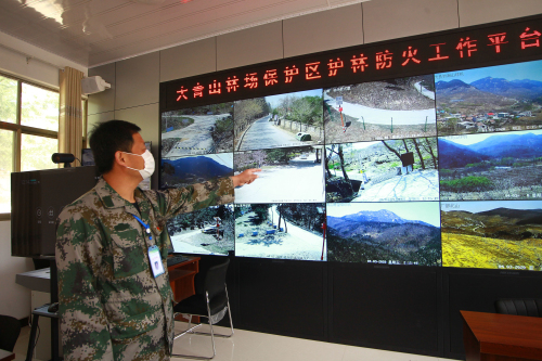 临沂清明假期森林防火进入临战状态