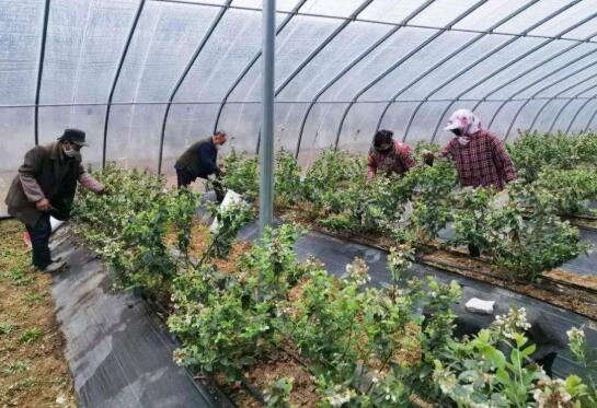 国务院扶贫办：挂牌督战更加有力 防返贫机制运行良好