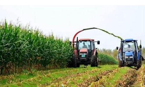 江苏多地开展农村土地流转履约保证保险试点