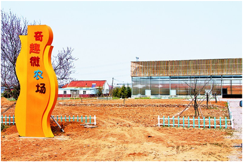 青岛西海岸新区“村企联合”推出认领“开心农场”特色旅游项目