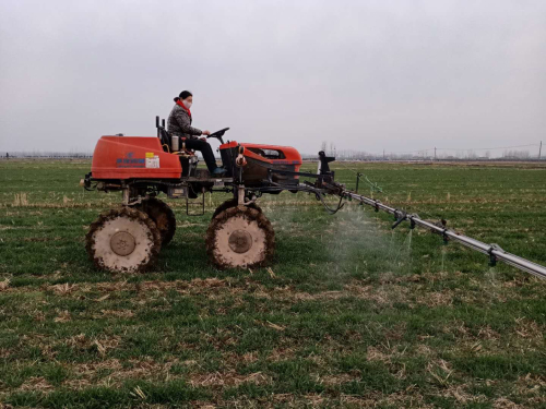 临沂农民也能评职称了！怎么评？评上有啥用？