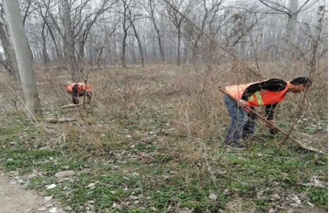 河南省南召县云阳镇：合理开发公益岗，变“输血”为“造血”