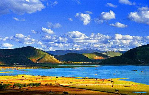 227名医护人员来访香格里拉 滇金丝猴景区最受欢迎