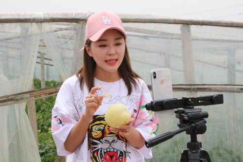 网红到田间地头直播卖瓜