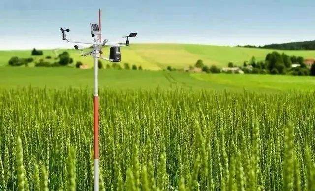 《社会资本投资农业农村指引》出台