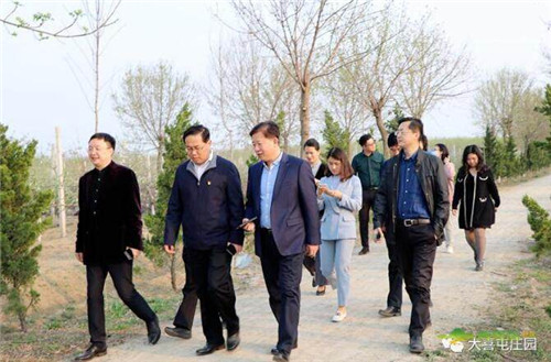 青岛平度打造网红智慧庄园：将支部建在庄园上