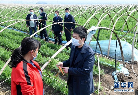 青岛：打假保春耕