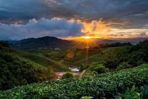 守护遗产 共享未来