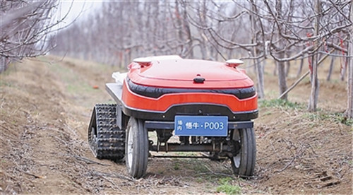 千亩农场“云”管理，这头“牛”就是牛！