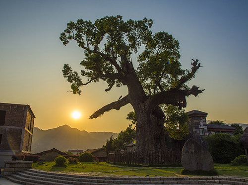 20200420151922319.jpg 1125804739_15858041779951n.jpg