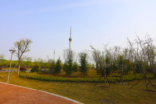 临沂北城新区再添一处口袋公园