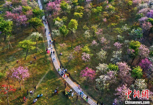 20200421113312990.jpg W020200421342302606787.jpg