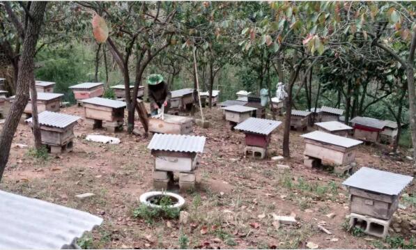 河南南召200多名退伍军人成为脱贫攻坚“先锋团”