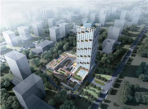 青岛桥头堡国际商务区：务实高效 全面打响开发建设攻坚战